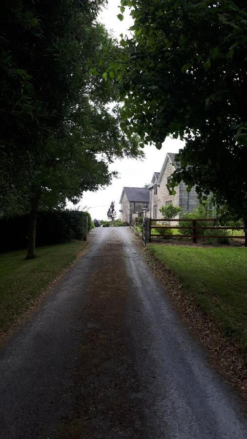 Lorum Old Rectory Bagenalstown Exterior photo