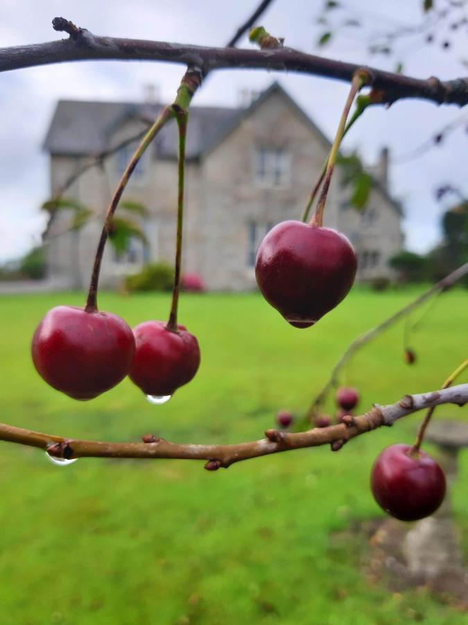 Lorum Old Rectory Bagenalstown Exterior photo