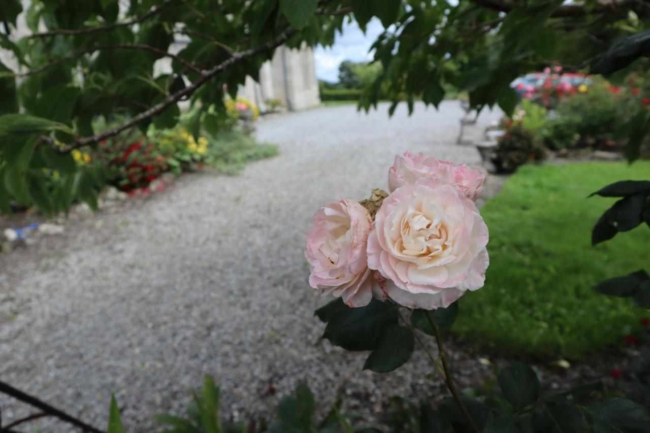 Lorum Old Rectory Bagenalstown Exterior photo